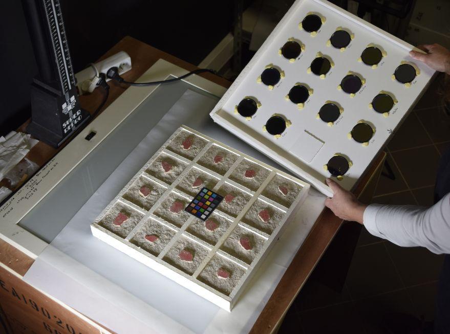 16 fragments d’enduits peints soumis à une lumière à travers des filtres optiques afin de définir un filtrage de la lumière d’exposition