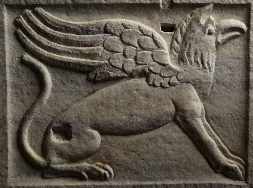 Griffon