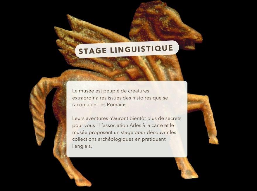 Stage linguistique