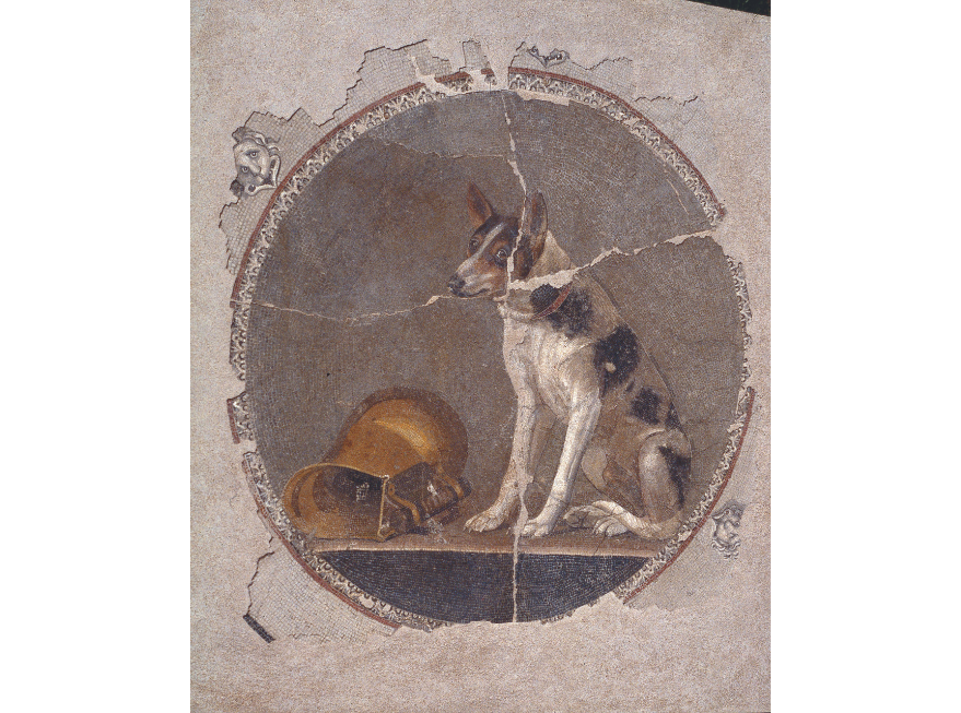 Mosaïque au chien, Alexandrie (Égypte)