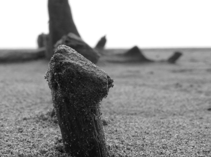 "Lignes d'eau", photo d'Anne-Sophie