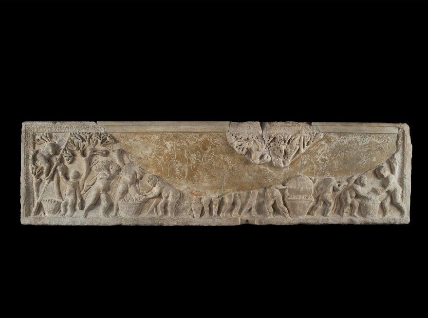 Sarcophage de l'olivaison © Rémi Bénali