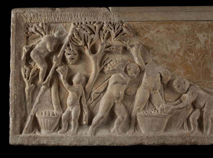 Sarcophage de l'olivaison