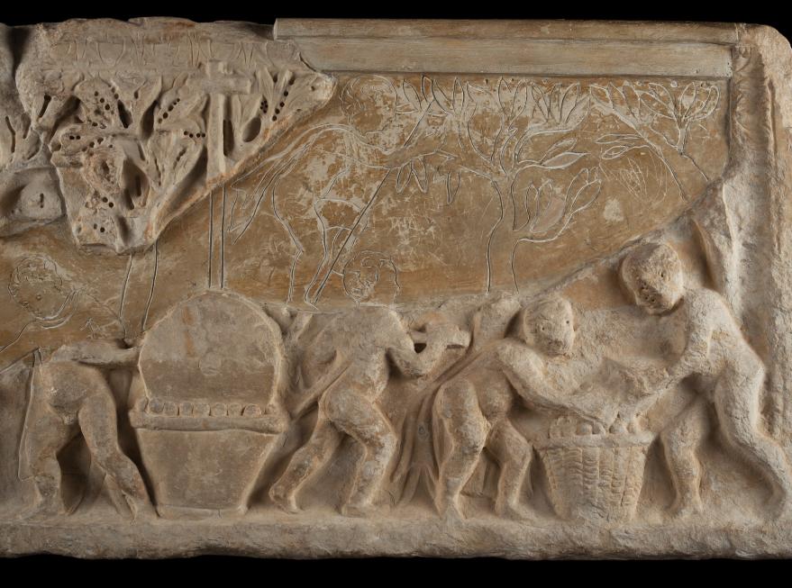 Sarcophage de l'olivaison
