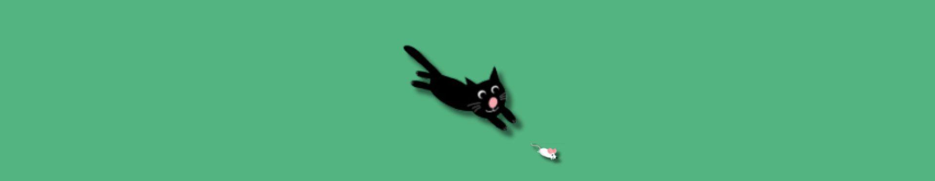 Mizou le petit chat noir