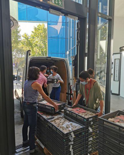 Transfert des enduits peints vers le Château d'Avignon (septembre 2021)