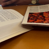 Consultation de livres centre de documentation