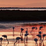 Photographie les zones humides.