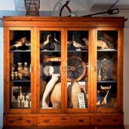 Le cabinet de curiosité de Mark Dion