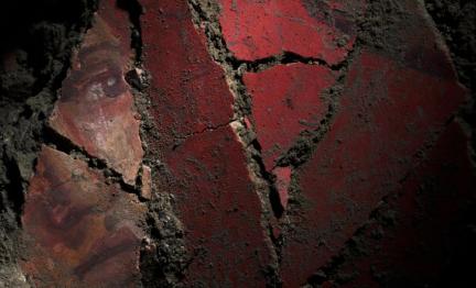 Décor peint mégalographique : visage d'une ménade au moment de sa découverte sur le chantier de fouille (juin 2015)