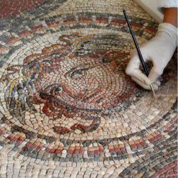 Mosaïque de Méduse, MDAA  traitement des microlacunes