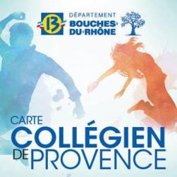 Carte collégiens des BDR